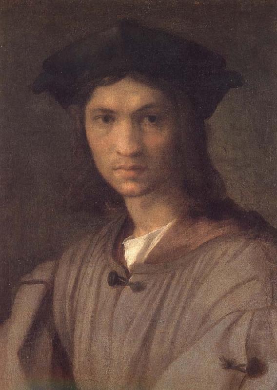 Andrea del Sarto Man portrait oil painting image
